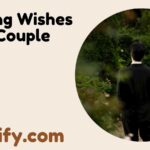 Wedding Wishes for Couple