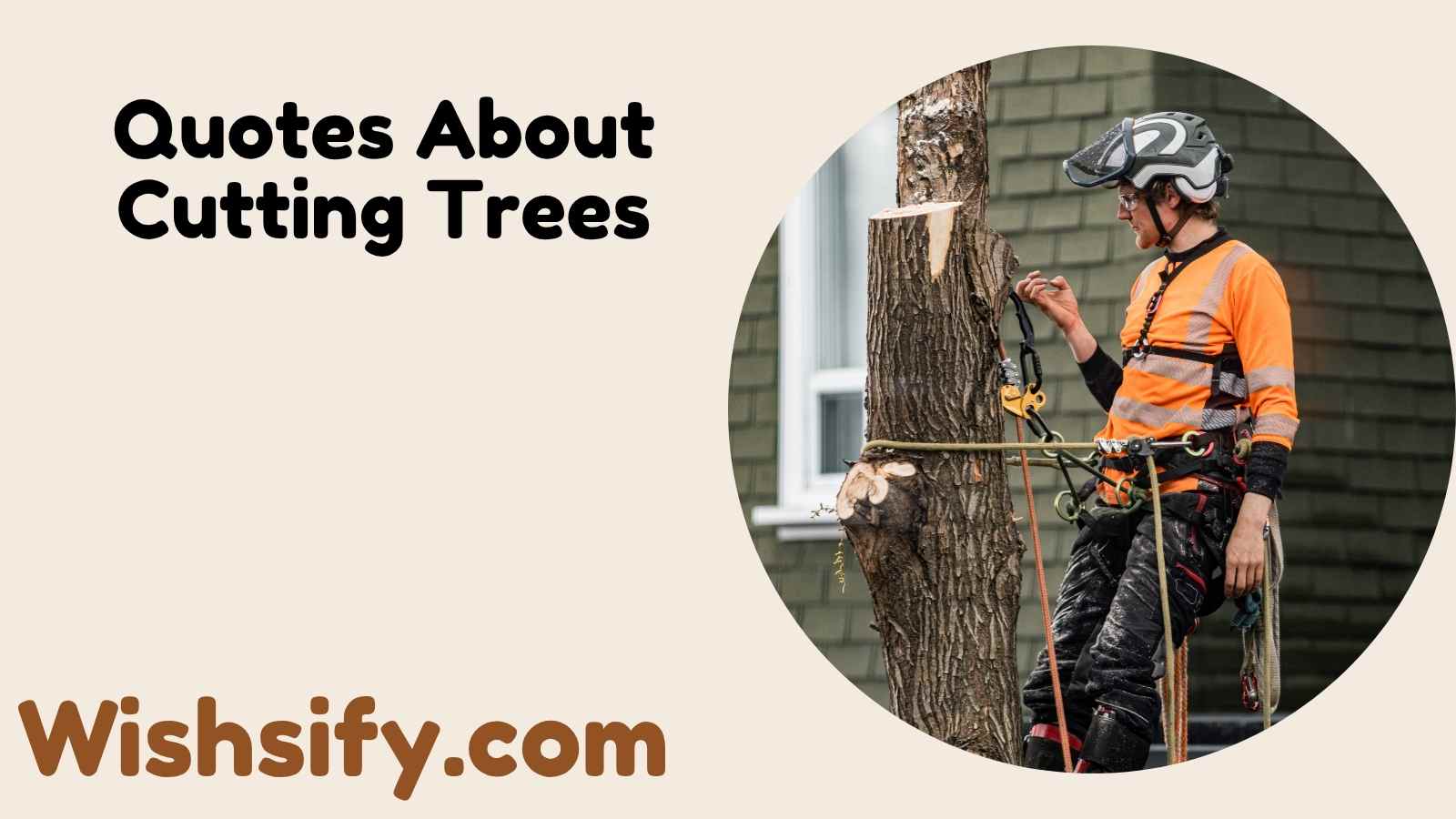 Quotes About Cutting Trees