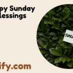Happy Sunday Blessings