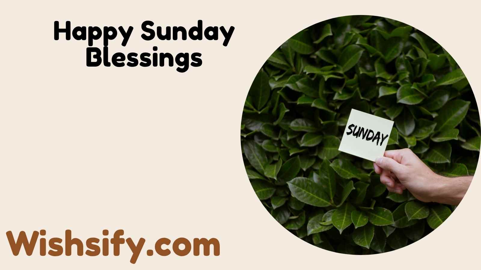 Happy Sunday Blessings